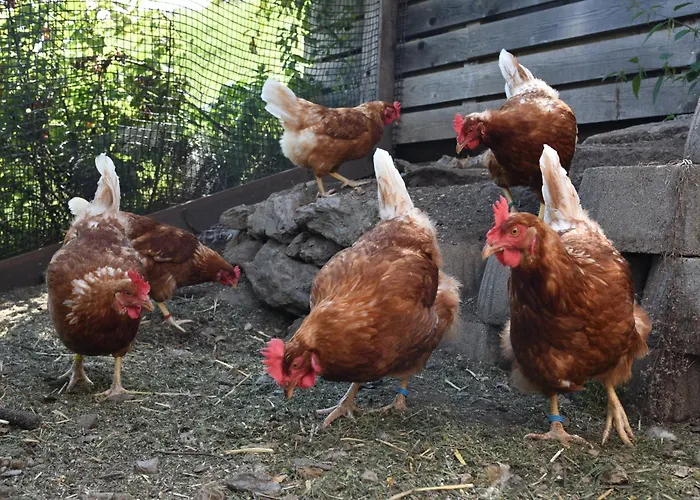 Muehlmann * Außervillgraten