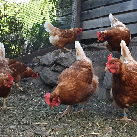 Mühlmann * Außervillgraten